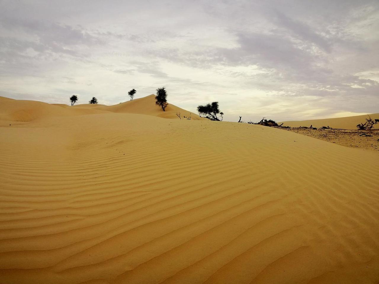 Queen Desert Camp Fulayj al Masha'ikh Exterior foto